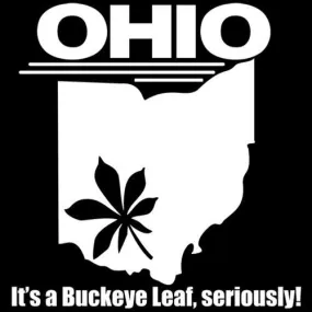 Ohio It's A Buckeye Leaf Seriously